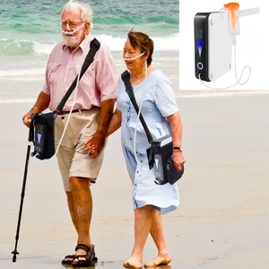 1L Lightweight Oxygen Concentrator With Atomization Function For Home, Car & Travel