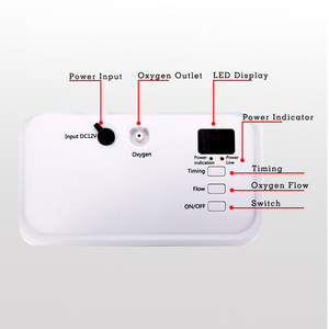 Portable 1L-3L Continuous Flow Lightweight Home Oxygen Concentrator