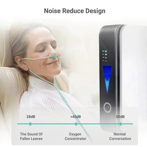 1L Lightweight Oxygen Concentrator With Atomization Function For Home, Car & Travel