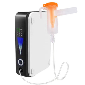 1L Lightweight Oxygen Concentrator With Atomization Function For Home, Car & Travel